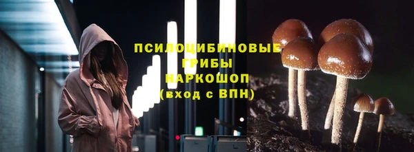 а пвп мука Алзамай