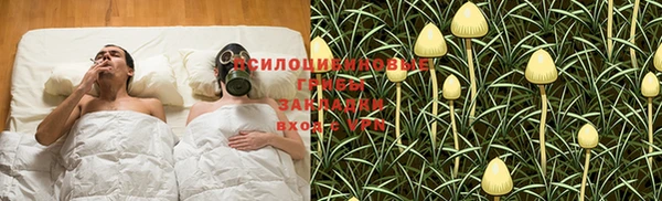шишки Осташков